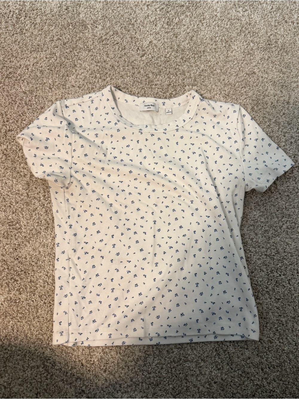 Aritzia Sunday best best hug little ribbed tee
